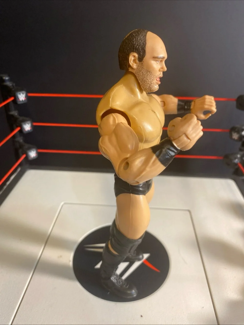 WWE product festus